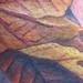 Tattoos - Autumn leaves falling - 58864
